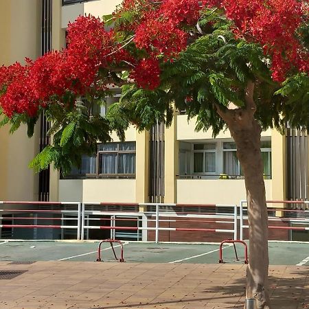 Tropical House Near Beach&Yumbo San Bartolome de Tirajana  Exterior photo
